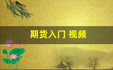 期货入门 视频(期货入门视频教程)_https://www.jumanxin.com_科创板_第1张